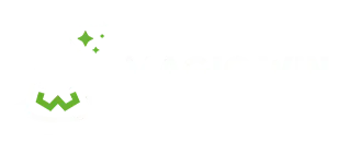 Vipzino  magicwin